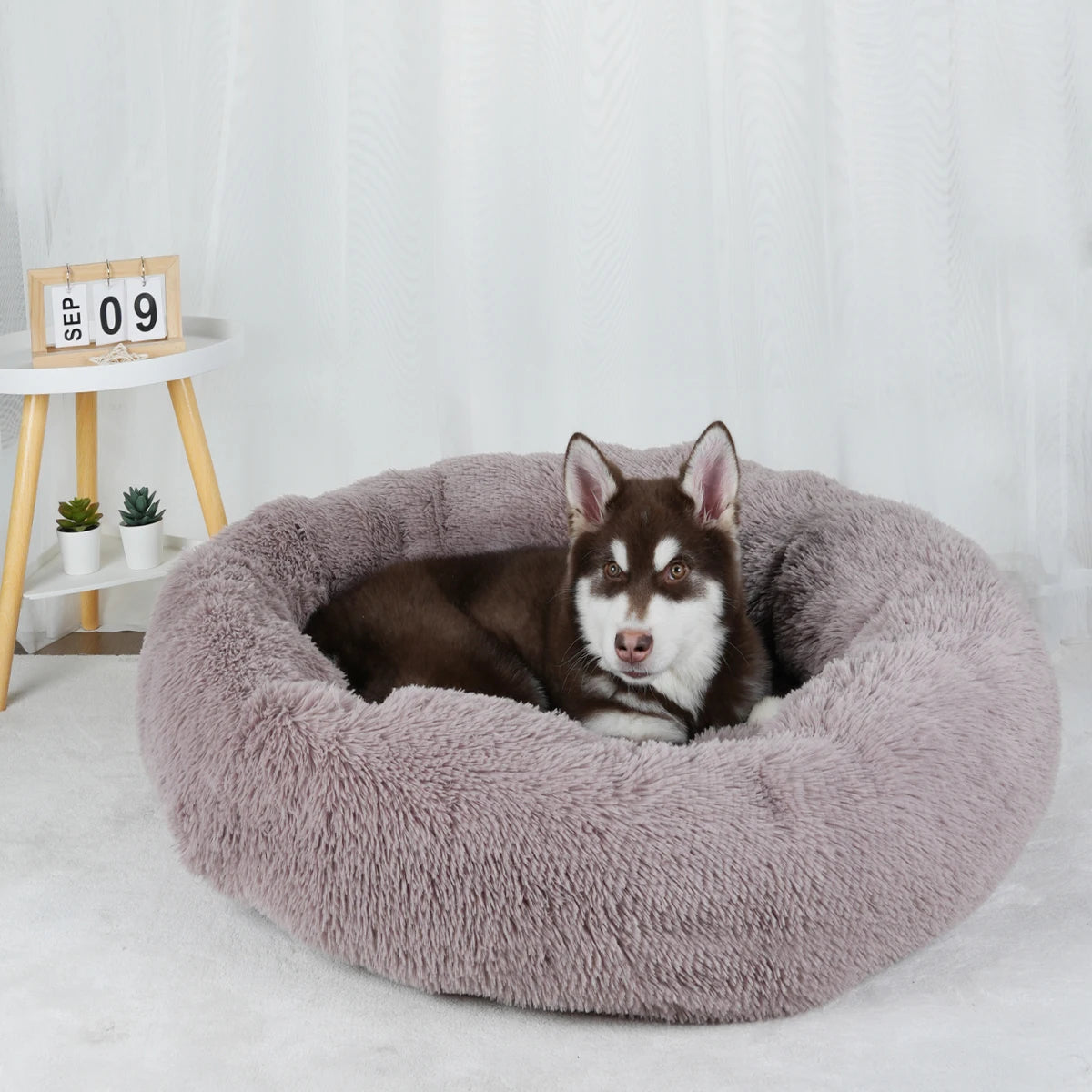 Round Plush Donut Pet Bed
