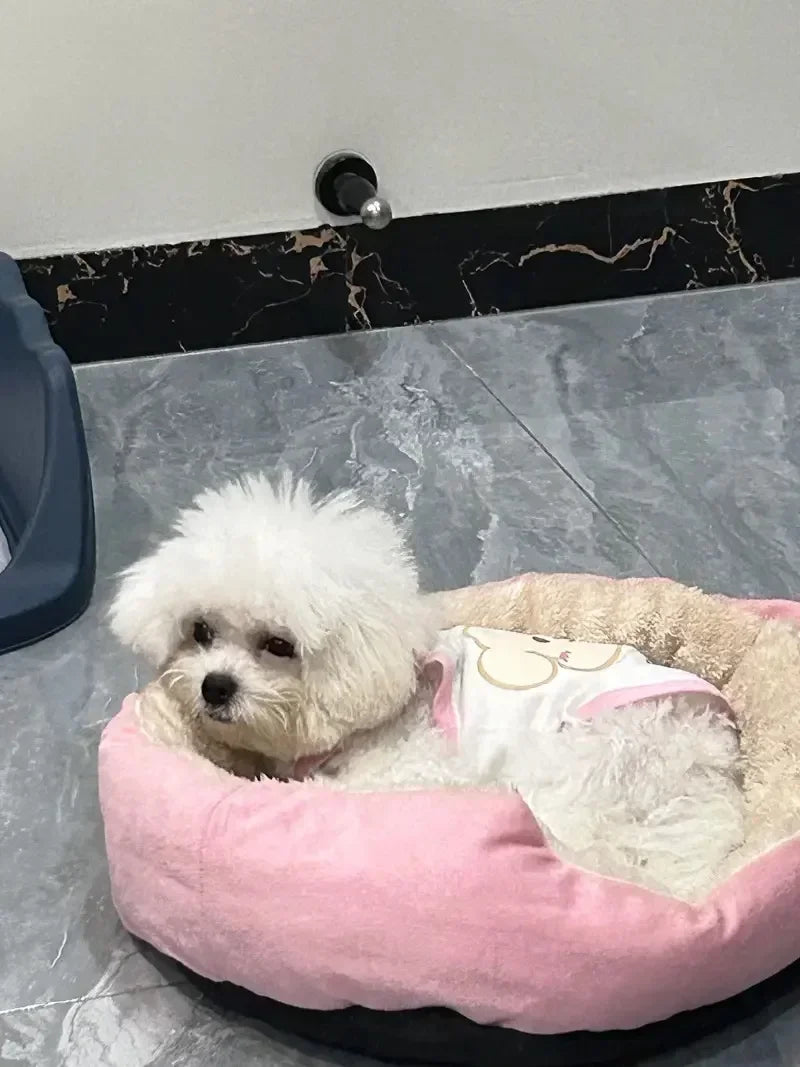Ultra Soft Plush Pet Sofa Bed