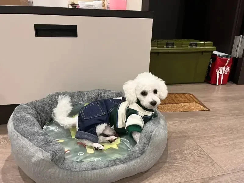 Ultra Soft Plush Pet Sofa Bed